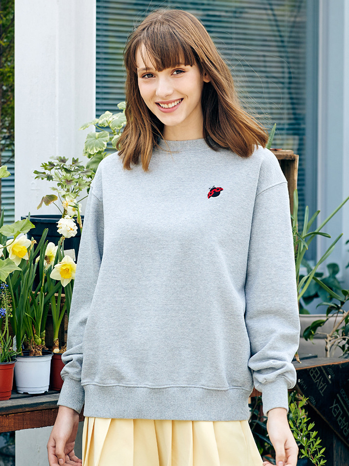 BB Logo Sweat shirt -Gray