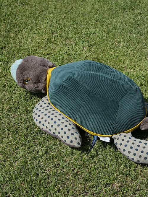 [719029] 큰 거북이 인형 Tout Autour du monde large turtle