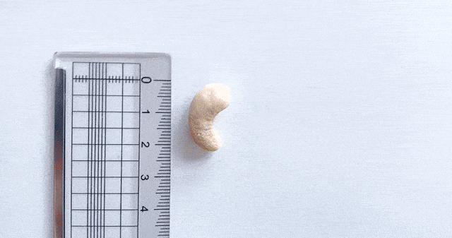 ezgif.com-gif-maker%20(7)_shop1_092918.gif