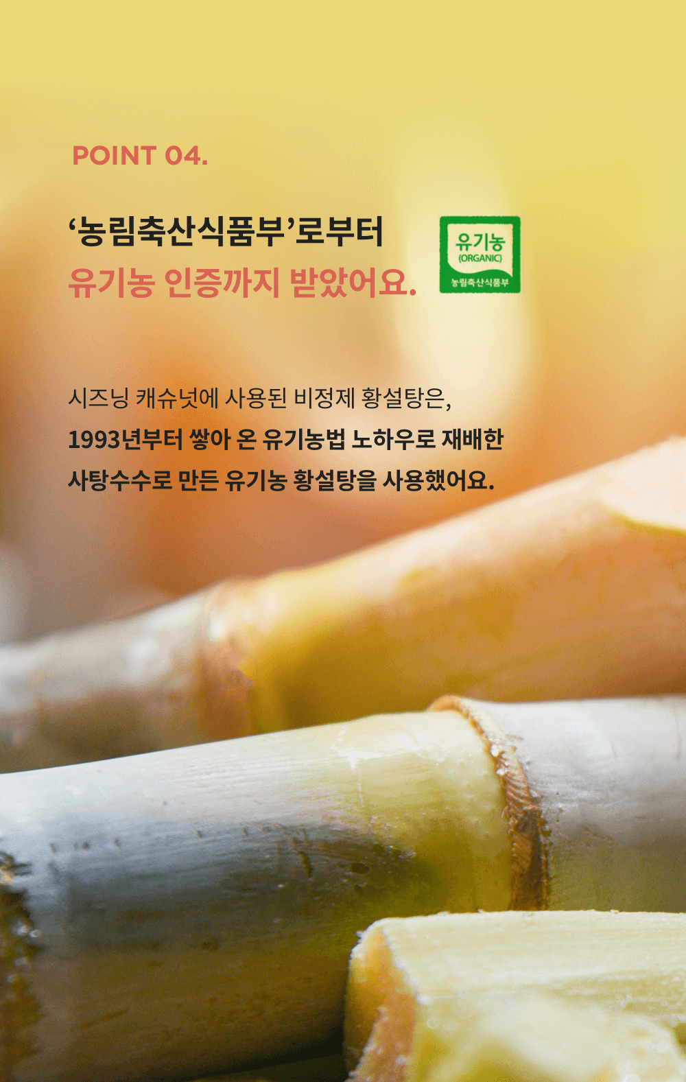copy-1658992886-Group20420Copy.png