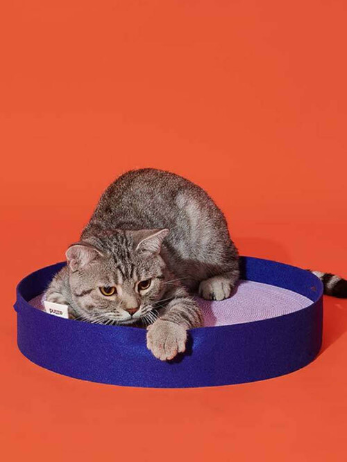 펠트 스크래쳐 블루 - PURRRE 푸르르