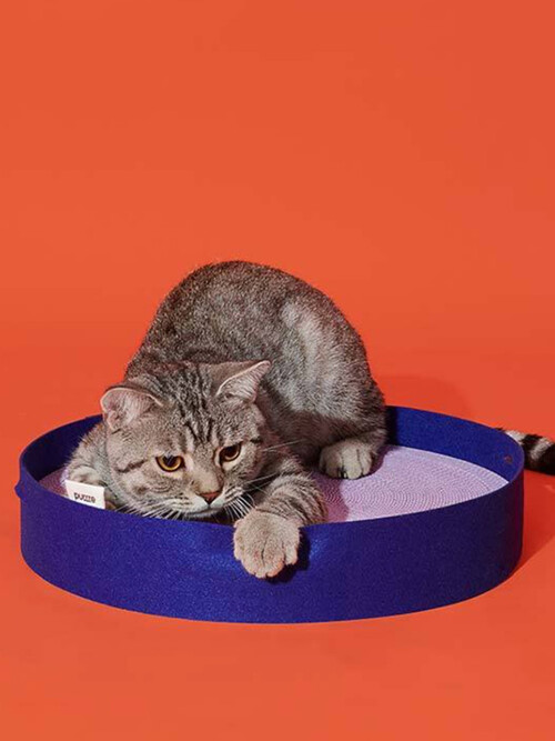 펠트 스크래쳐 블루 - PURRRE 푸르르