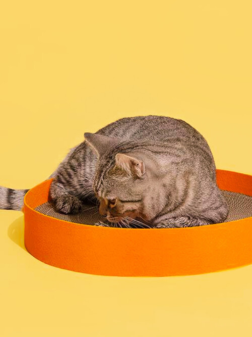 펠트 스크래쳐 오렌지 - PURRRE 푸르르