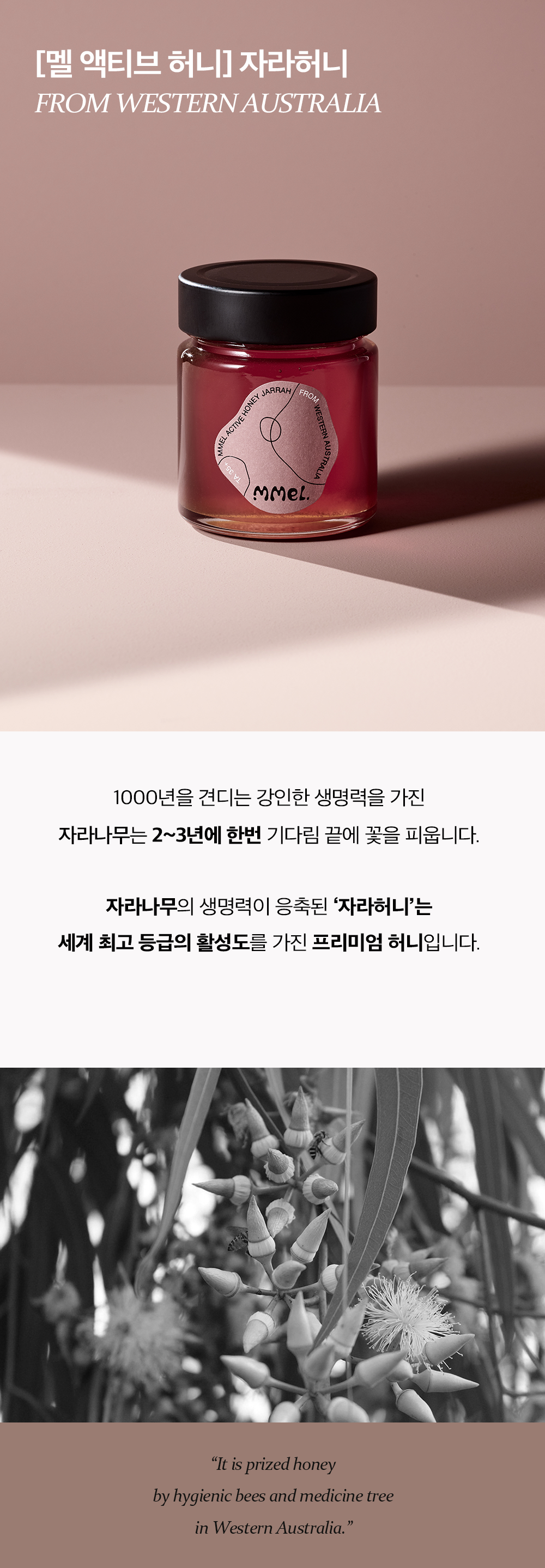 1_%EC%9E%90%EB%9D%BC%EB%B3%91%EA%BF%80_%EC%9D%B8%ED%8A%B8%EB%A1%9C.png