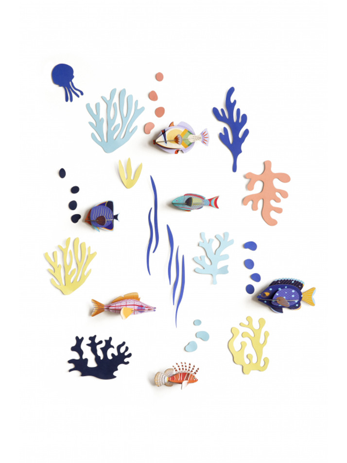 Fish Hobbyist