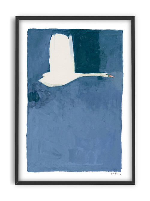 Jörgen Hansson - The Swan 50 x 70