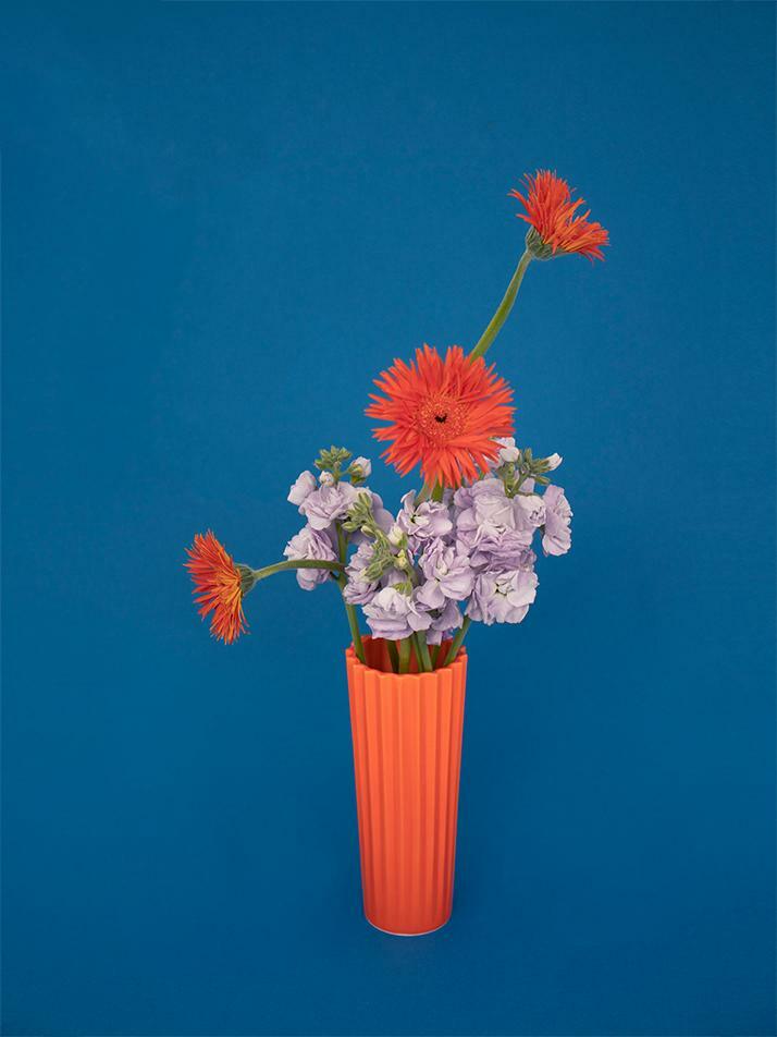 BLOSSOM Orange