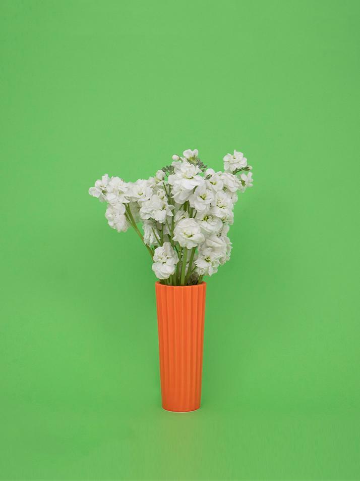 BLOSSOM Orange