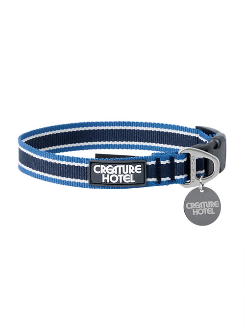 Striped Webbing Dog Collar - Blue