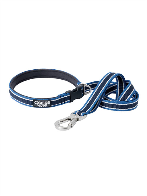Striped Webbing Dog Leash - Blue