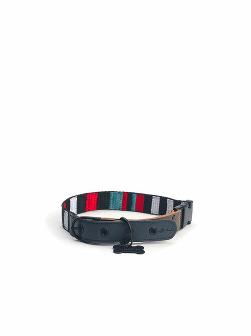 Wag Dog Safe Collar Candy Stripe 