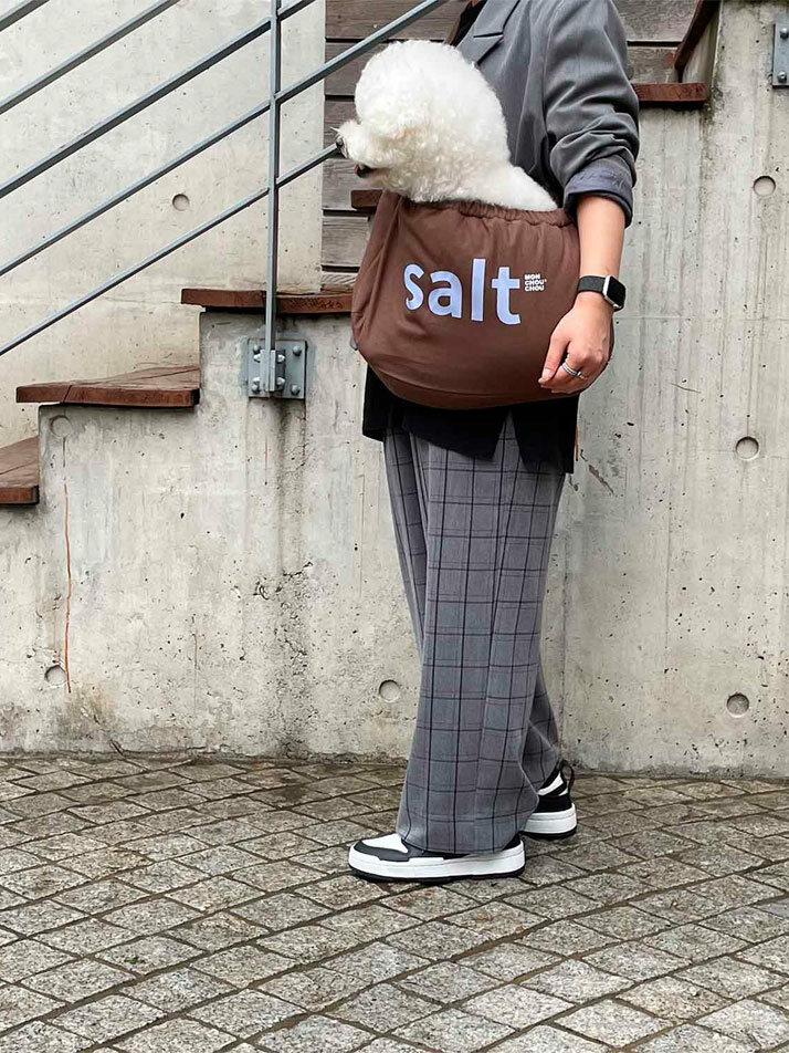 Salt Messenger Bag