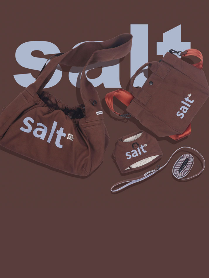 Salt Messenger Bag