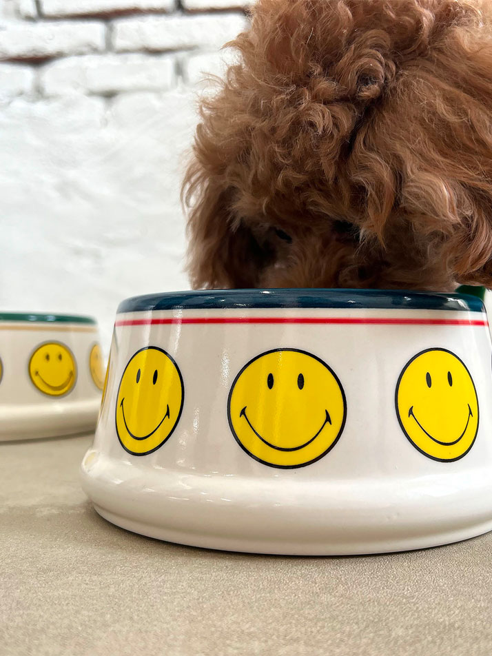 Smiley Ceramic Bowl