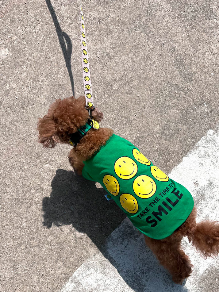 Smiley Cotton Sleeve Tee Green