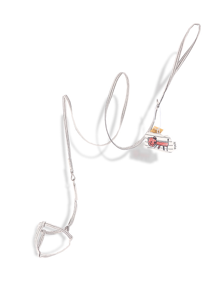 Little Doodle Harness