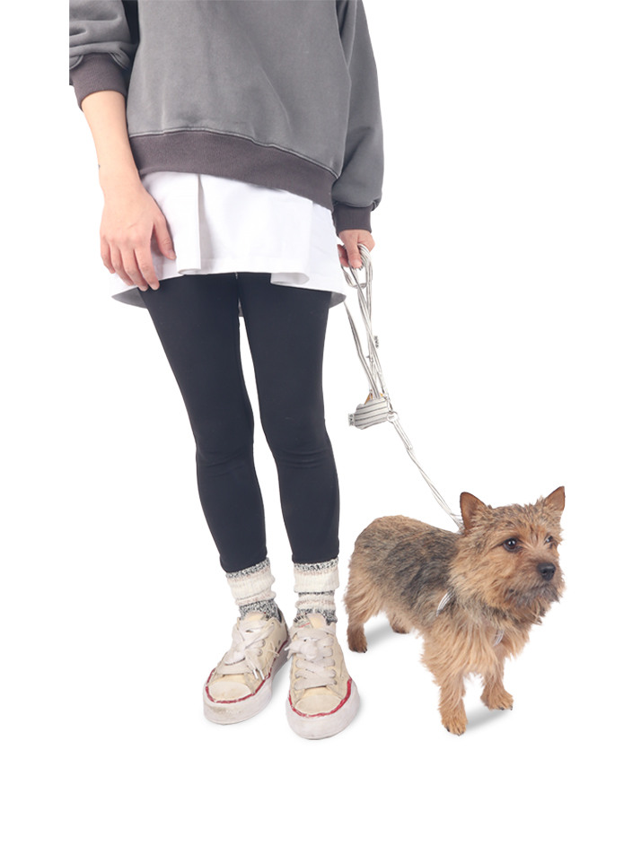 Little Doodle Harness