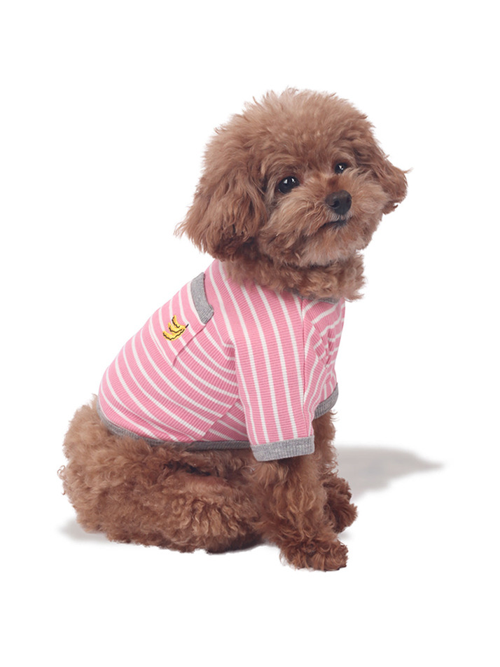 Pocket Bites Crop Top Banana