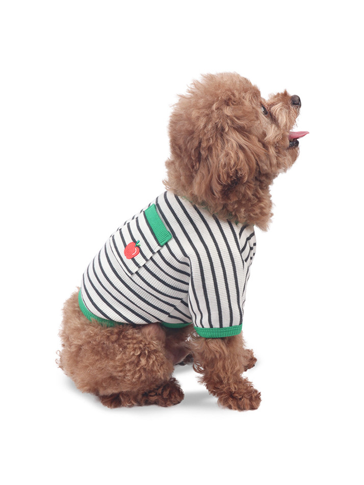 Pocket Bites Crop Top Apple