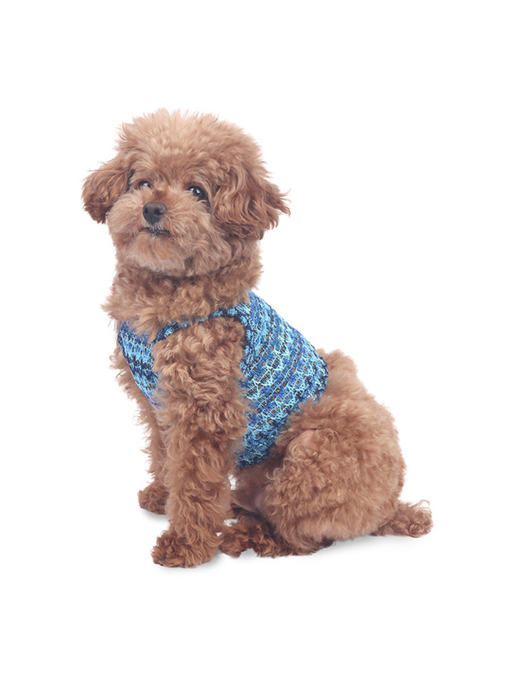 Fruit Punch V-neck Crop Top Blue Ocean