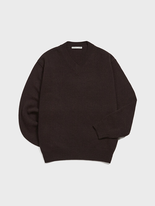 V-neck Knit Sweater (Brown)