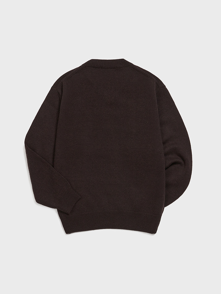 V-neck Knit Sweater (Brown)
