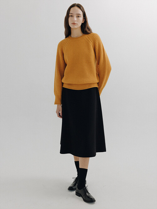 Wool flared skirt (Black)