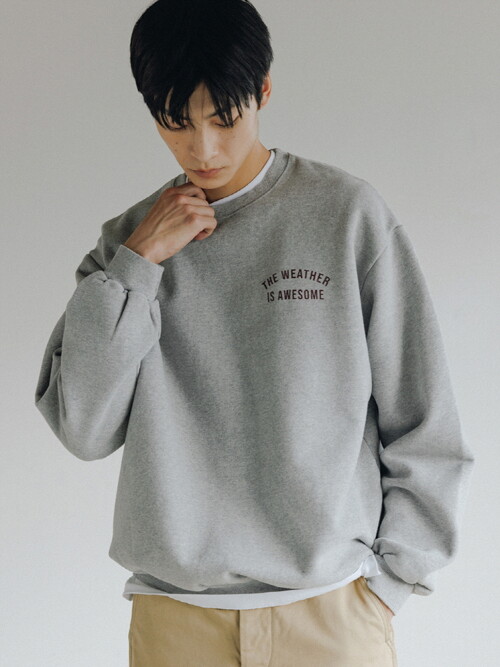 Weather Sweatshirt (Gray)