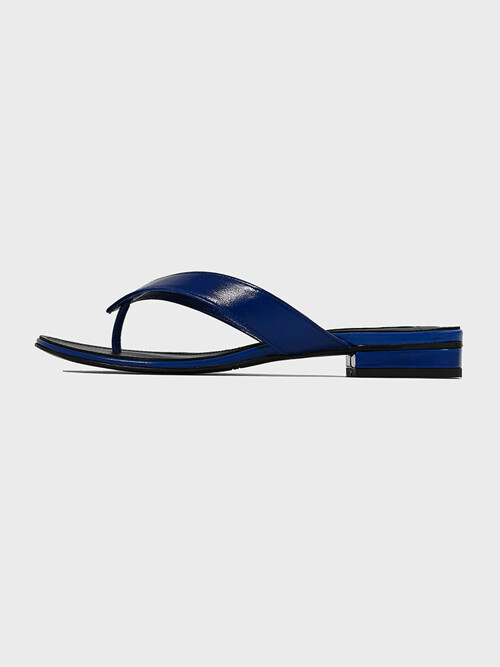 Flip-Flop Sandals_Blue