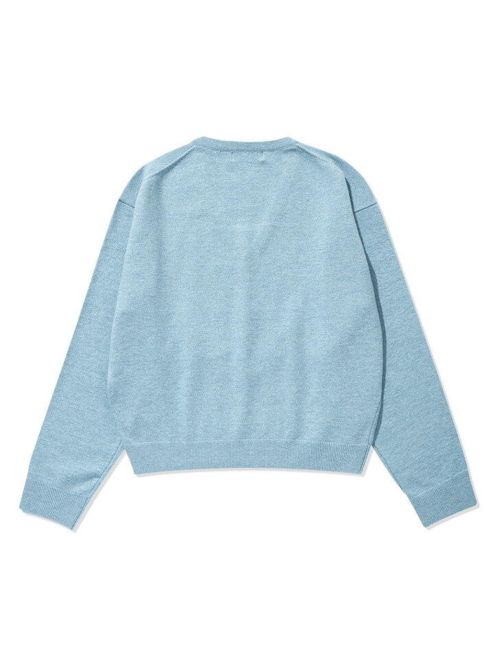 (W) Logo Embroidered V-Neck Sweater Sky Blue