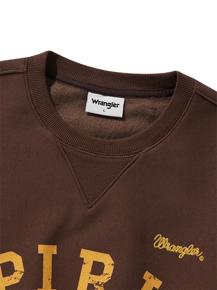 Arch Tiger Fleece Sweatshirt Brown