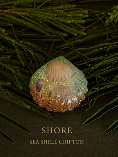 [Sea Shell Griptok] Shore
