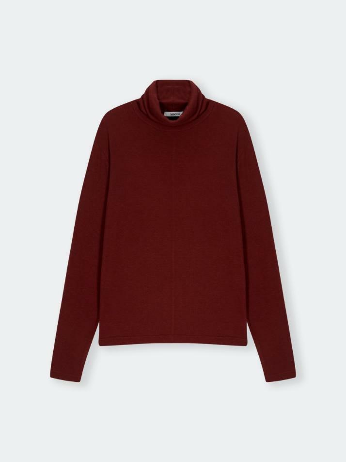 Sleek Wool Blend Turtle Neck_Red