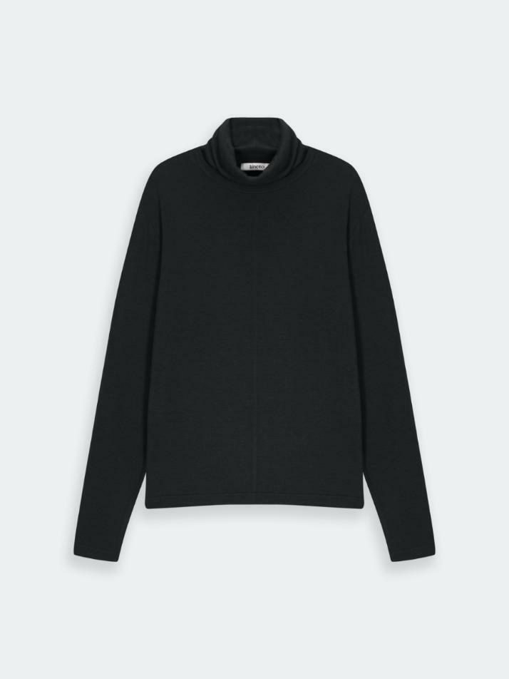 Sleek Wool Blend Turtle Neck_Black