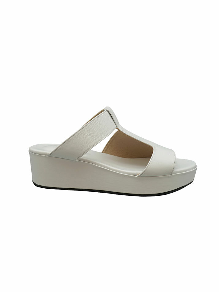 RVIS platform slide white