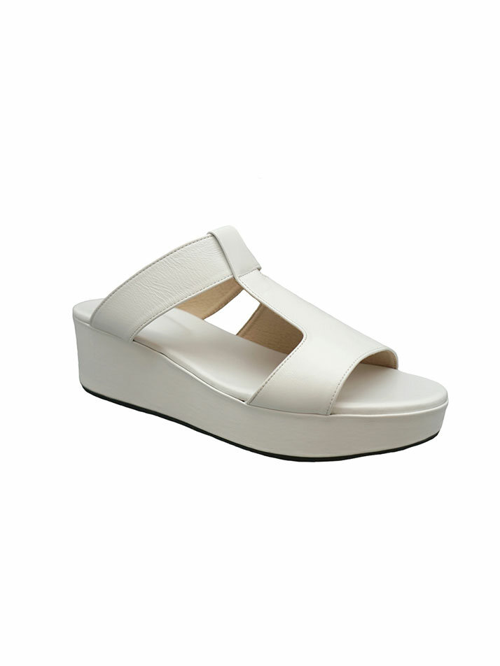 RVIS platform slide white