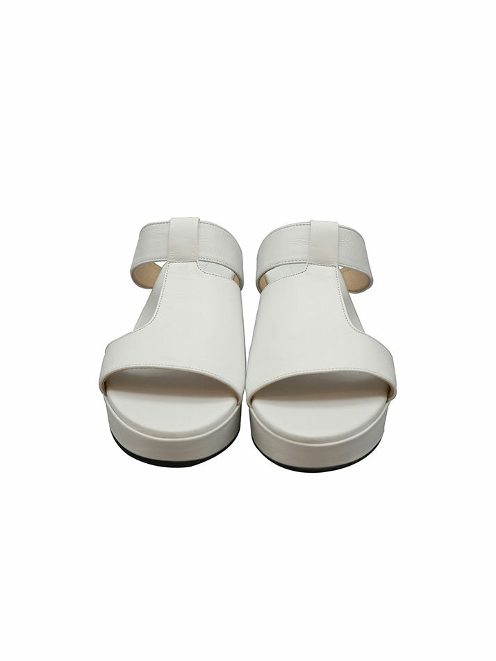 RVIS platform slide white