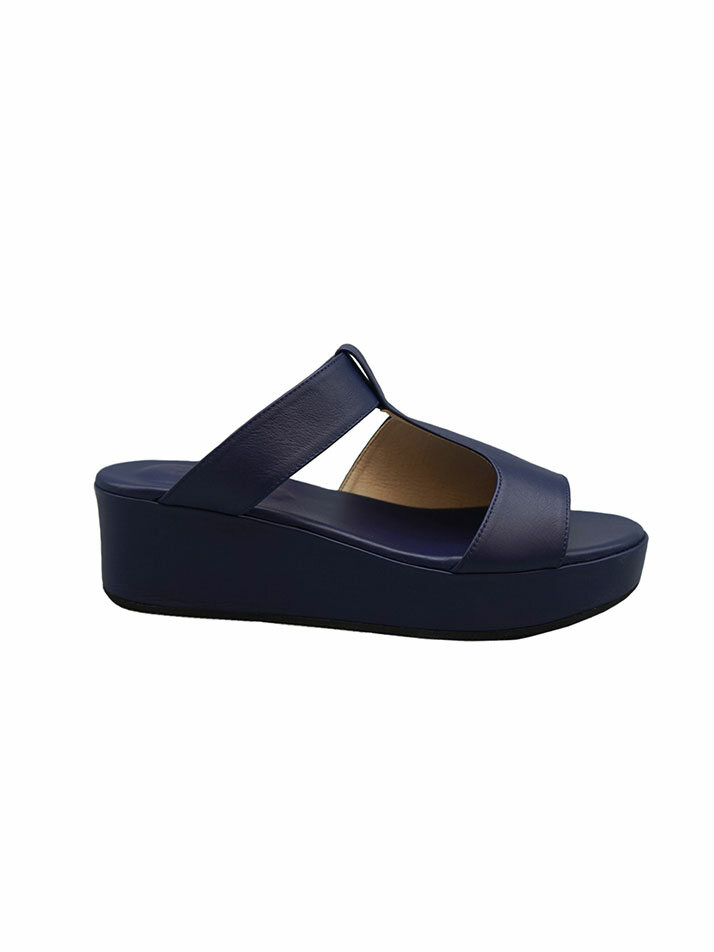 RVIS platform slide blue