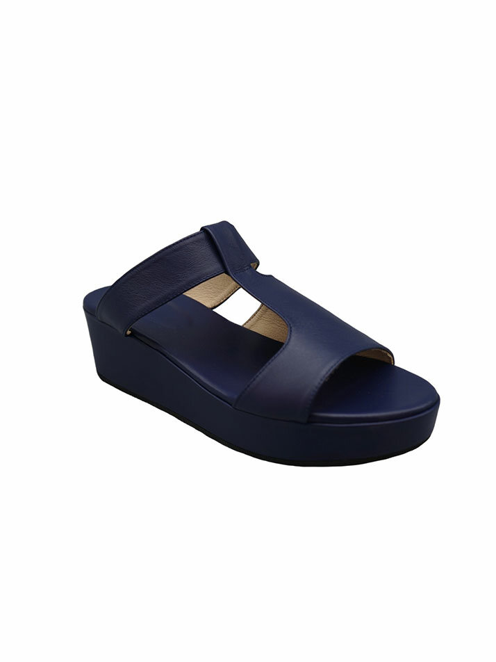 RVIS platform slide blue