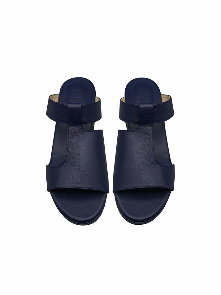 RVIS platform slide blue