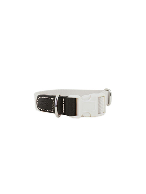 Picture Dog Collar BKIV