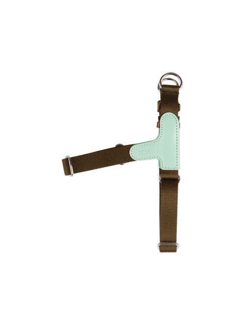 Picture Dog Harness MIBR