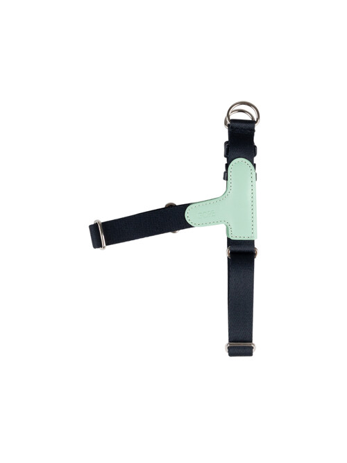 Picture Dog Harness MINA