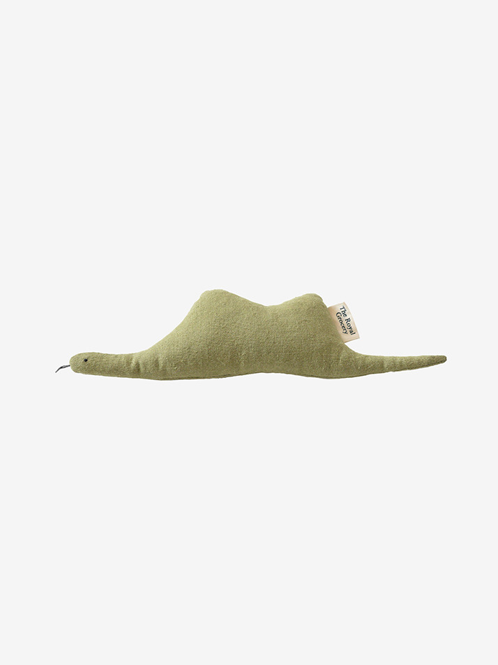 Boa Snake