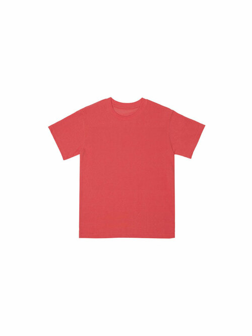 BLAB SKULLBOARD PIGMENT Adult T-shirt_RED