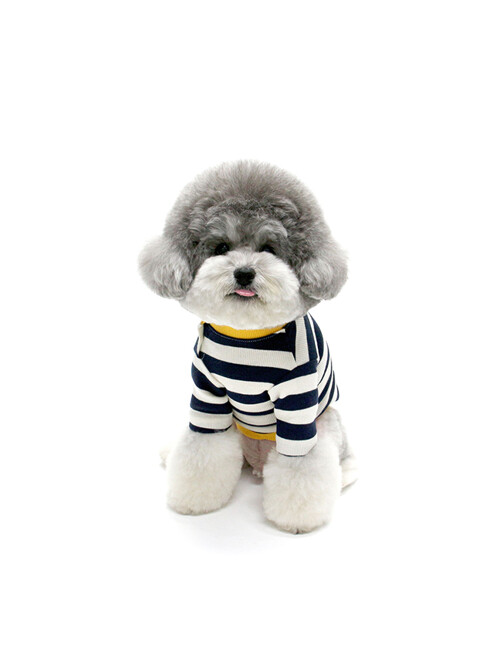 STRIPE NECK BUTTON TSHIRT-YELLOW(반팔티)