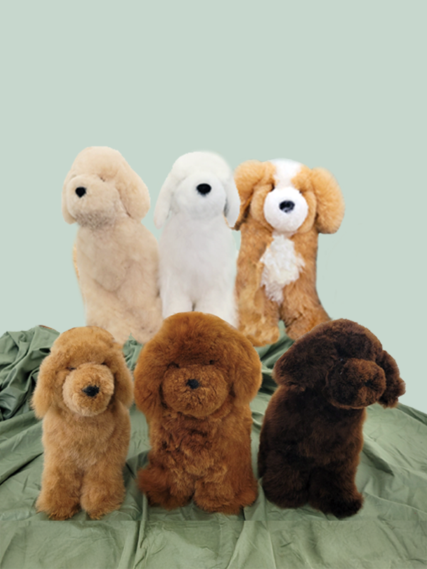 [컴발리 알파카] 귀여움이 두배일수밖에 없는 멍멍이