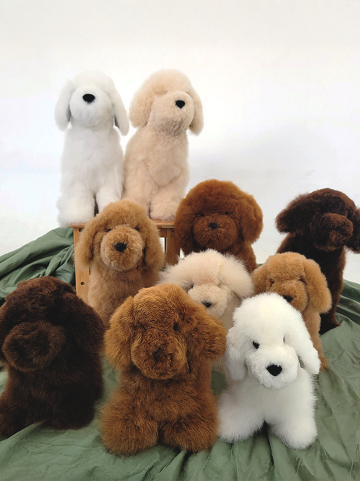 [컴발리 알파카] 귀여움이 두배일수밖에 없는 멍멍이