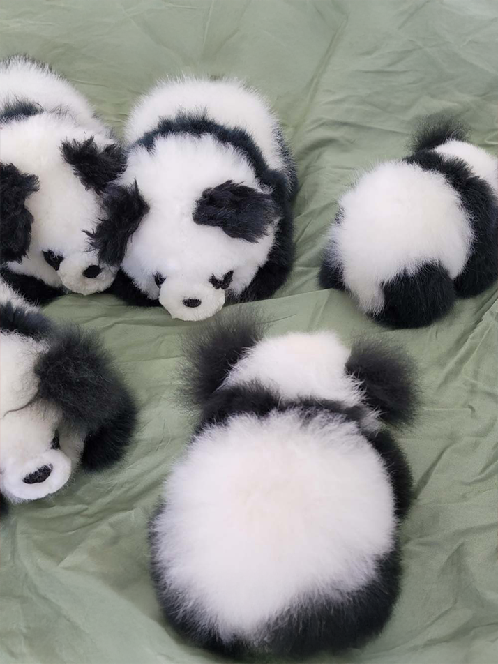 [컴발리 알파카] 토닥토닥 어화둥둥하기 좋은 판다 친구들