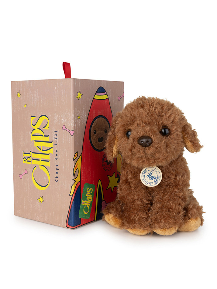 [B.T. Chaps] Stacy the Labradoodle in giftbox - 17cm